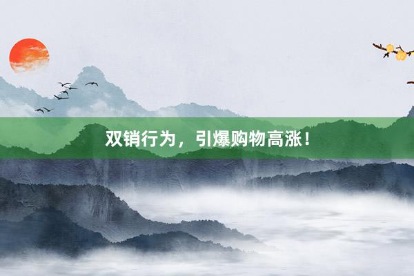 双销行为，引爆购物高涨！